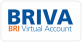 bank bri virtual account